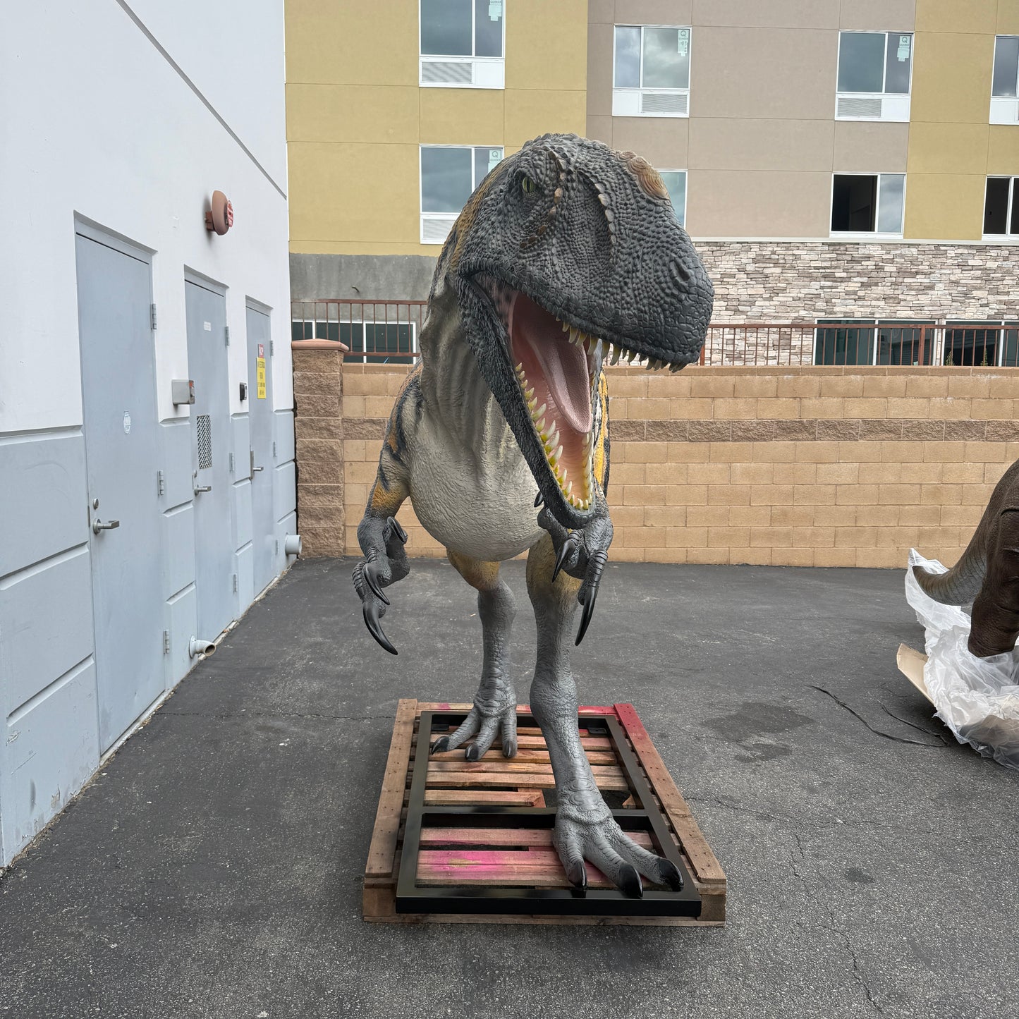 Australovenator Dinosaur Life Size Statue