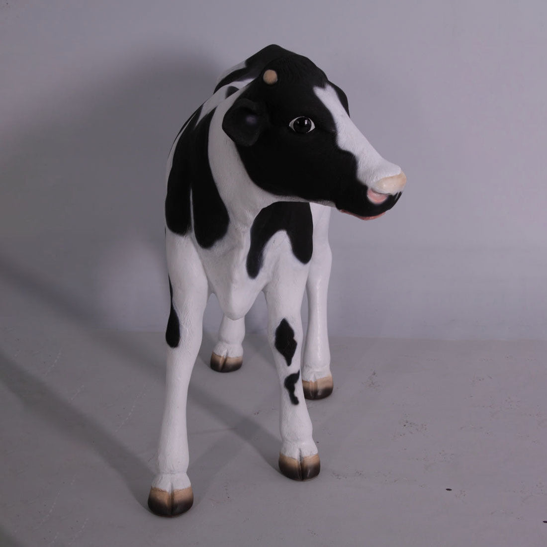 Baby Holstein Cow Statue