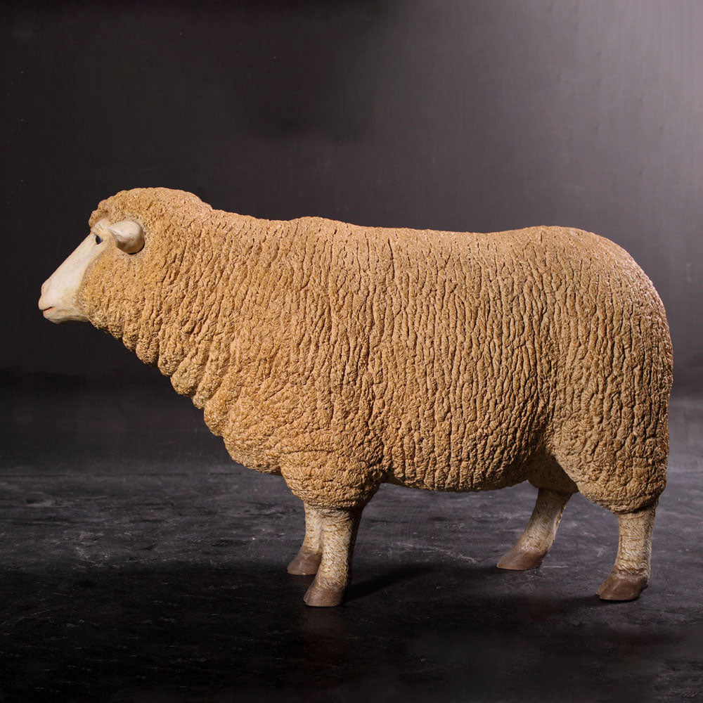 Merino Ewe Statue