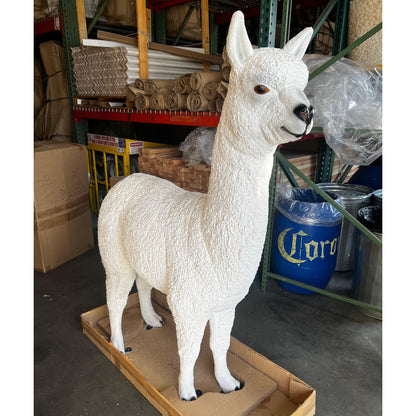 White Alpaca Life Size Statue Prop