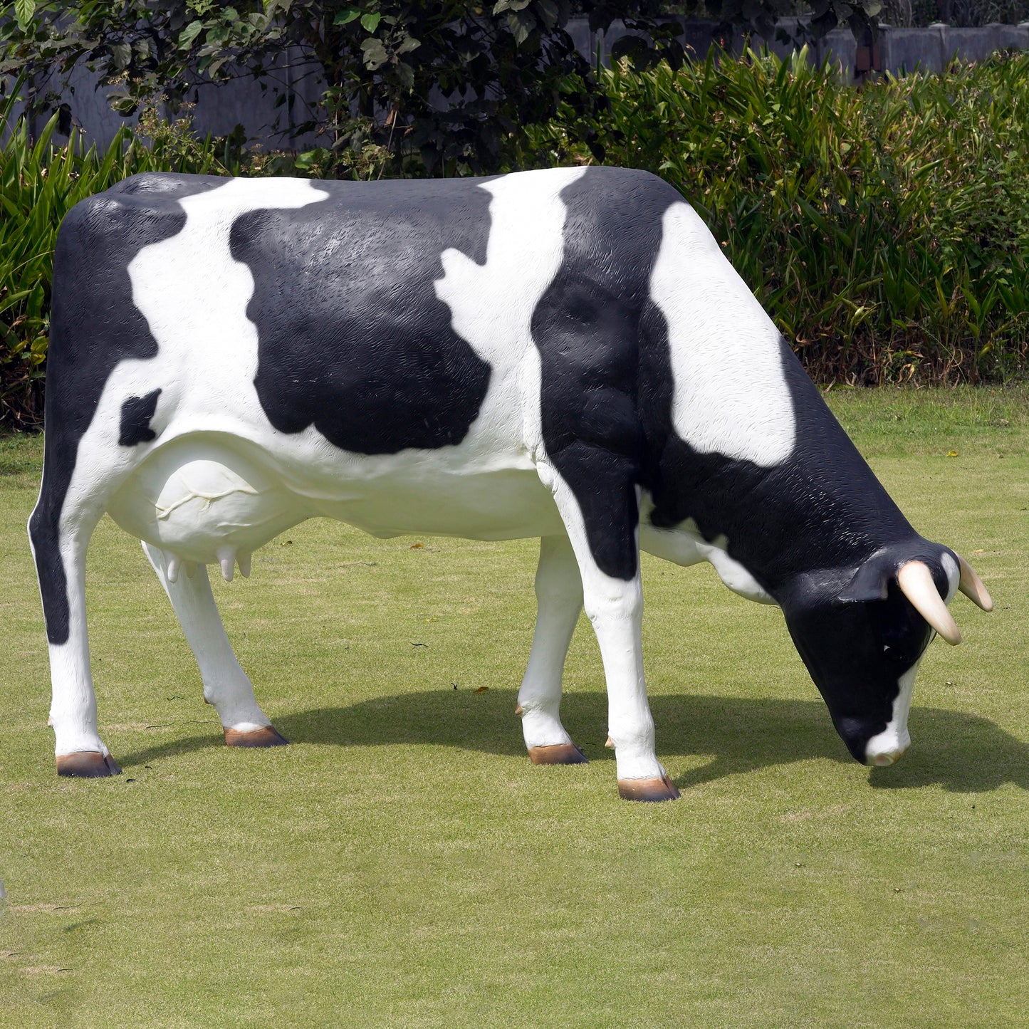 Holstein Cow Grazing Life Size Statue