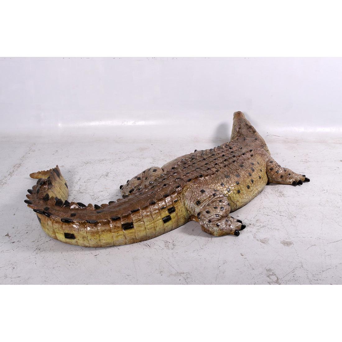 Crocodile Mouth Closed Life Size Statue - LM Treasures Prop Rentals 