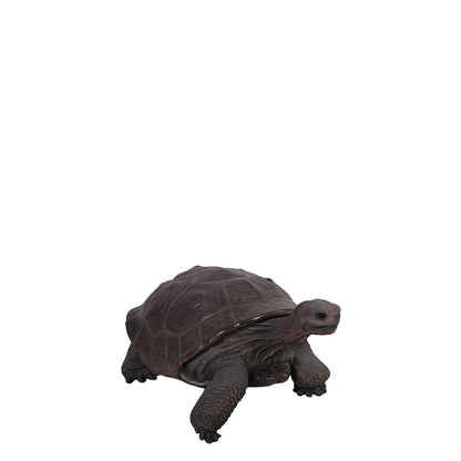 Galapagos Tortoise Statue - LM Treasures Prop Rentals 