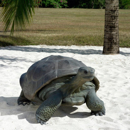 Galapagos Tortoise Statue