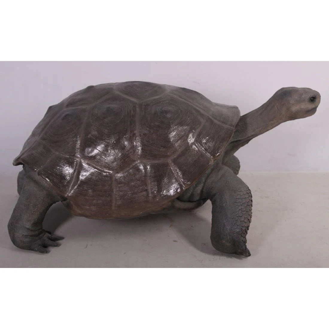 Galapagos Tortoise Statue