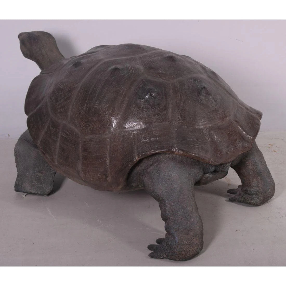 Galapagos Tortoise Statue