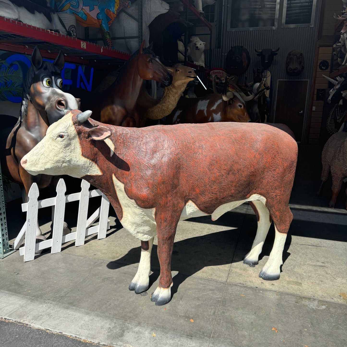 Hereford Steer Cow Life Size Statue