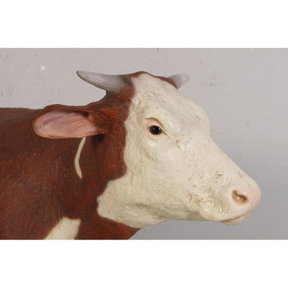 Hereford Steer Cow Life Size Statue - LM Treasures Prop Rentals 