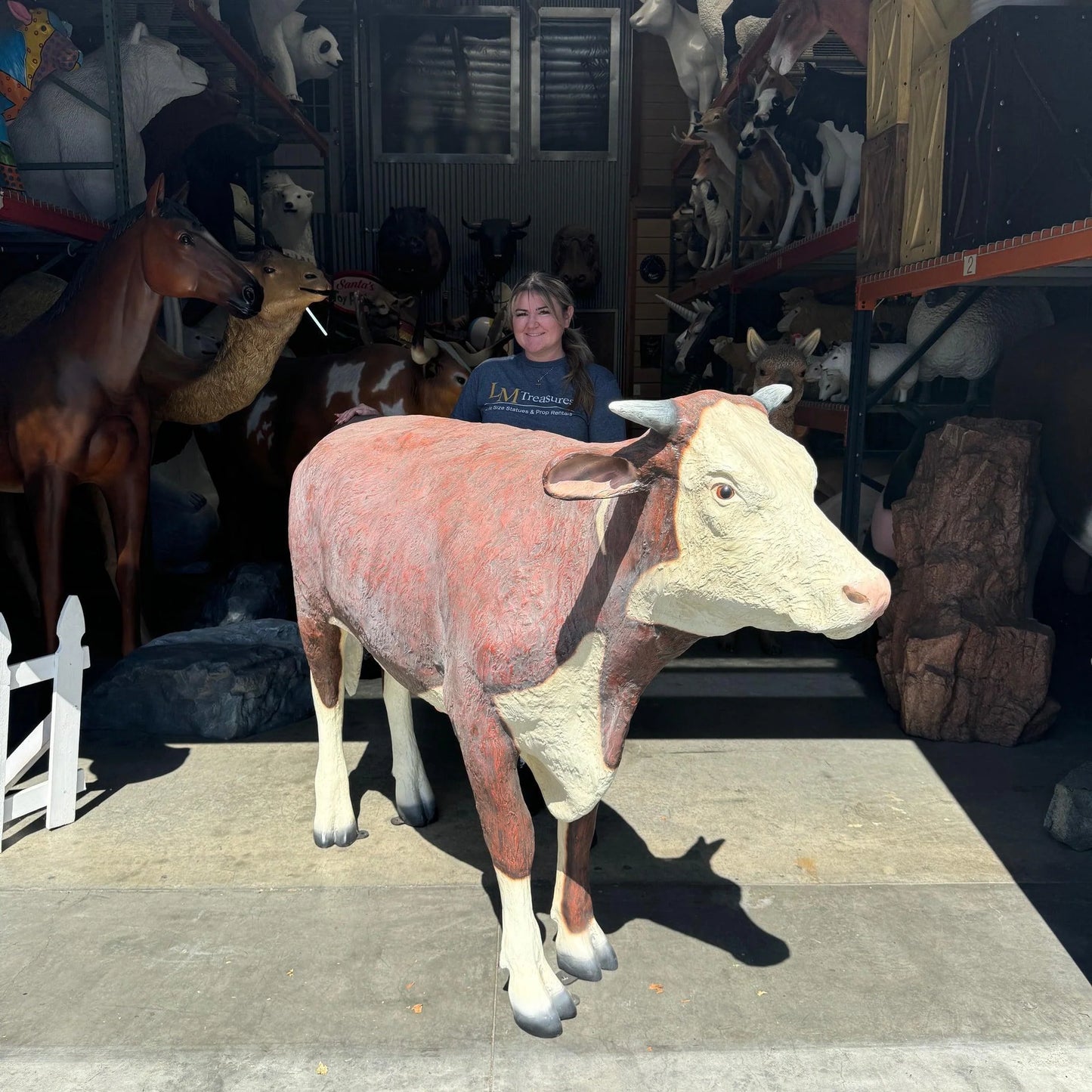 Hereford Steer Cow Life Size Statue