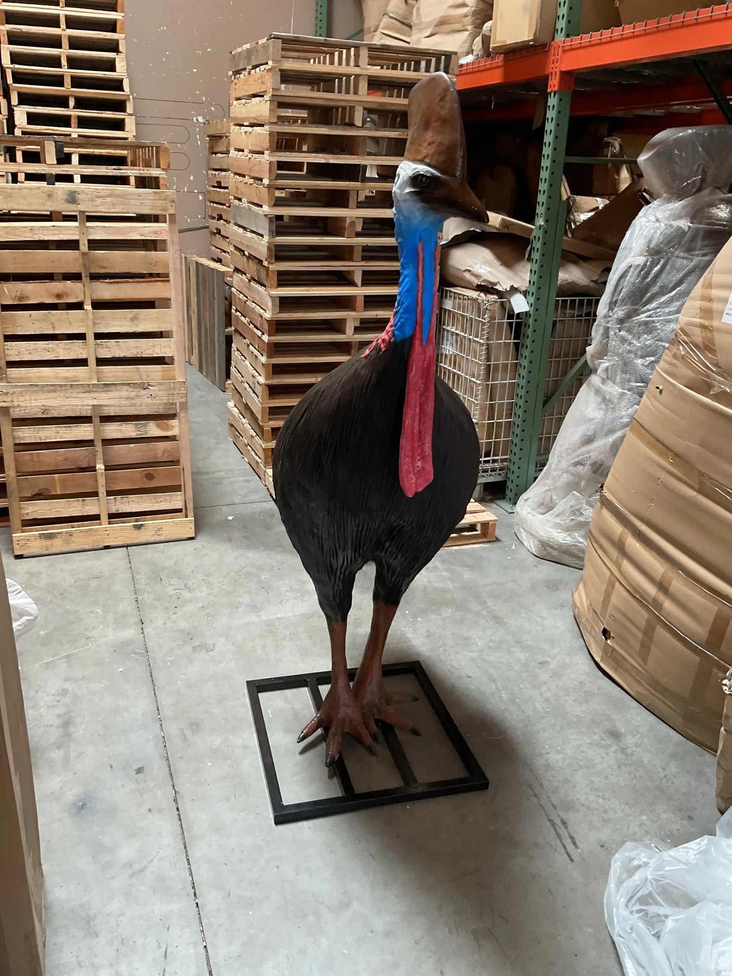 Cassowary Female Bird Life Size Statue A0113-080154-H