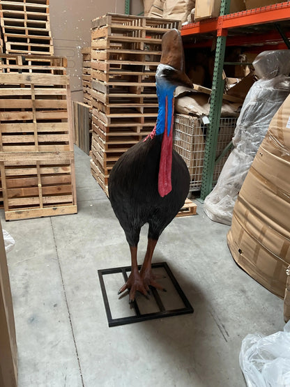 Cassowary Female Bird Life Size Statue A0113-080154-H