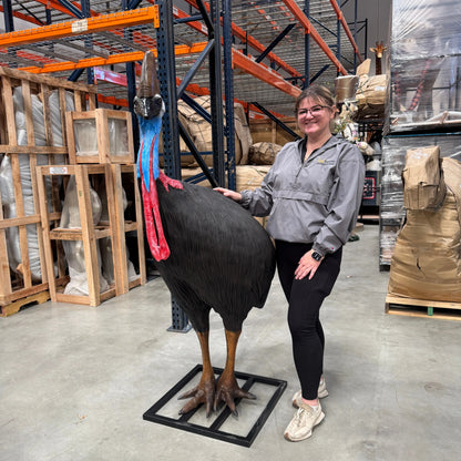 Cassowary Female Bird Statue A0113-080154-H
