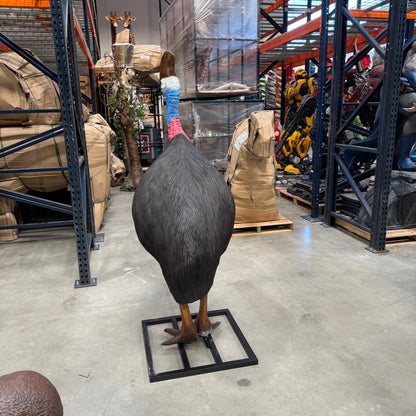 Cassowary Female Bird Statue A0113-080154-H