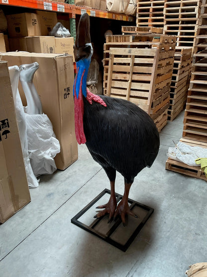 Cassowary Female Bird Life Size Statue A0113-080154-H