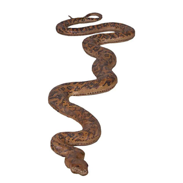 Python Snake Life Size Statue – LM Treasures Prop Rentals