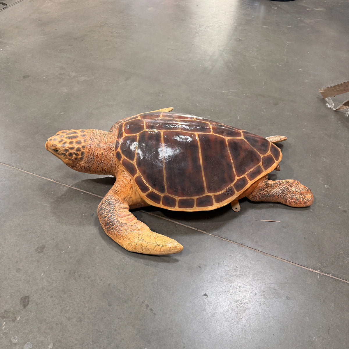 Sea Turtle Statue A0150-090048-H
