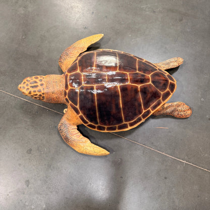 Sea Turtle Statue A0150-090048-H