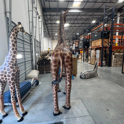Young Adult Giraffe Statue A0441-090070-H