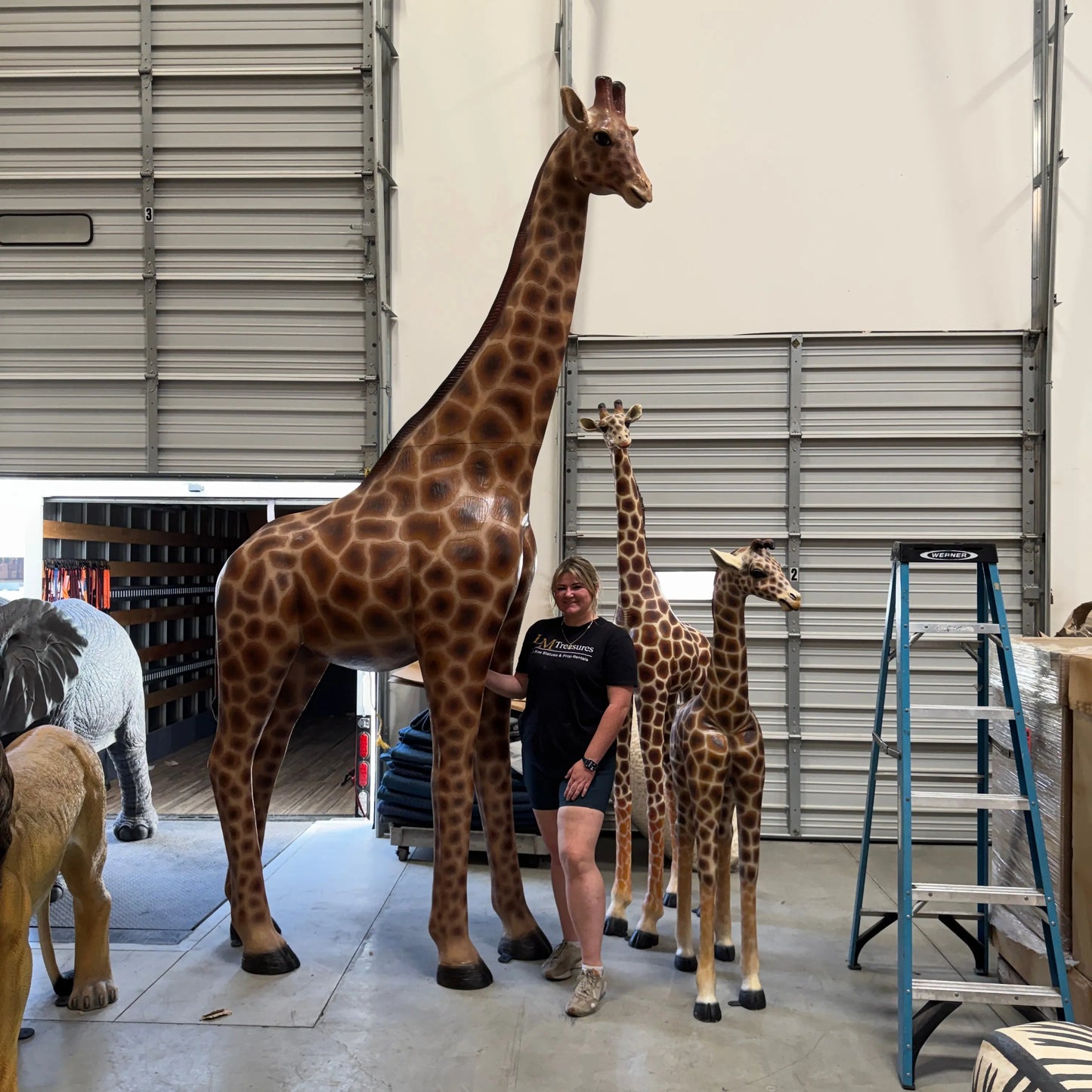 Young Adult Giraffe Statue A0441-090070-H