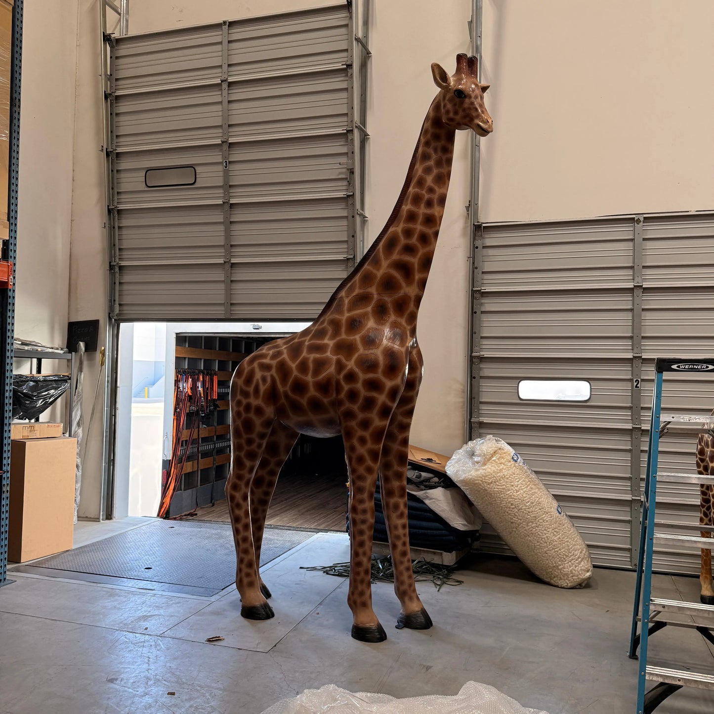 Young Adult Giraffe Statue A0441-090070-H