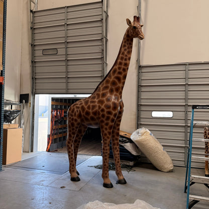 Young Adult Giraffe Statue A0441-090070-H