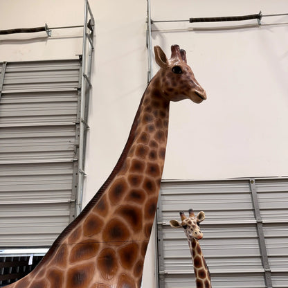Young Adult Giraffe Statue A0441-090070-H