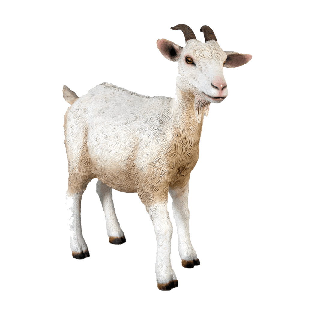 Goat Standing Statue – LM Treasures Prop Rentals