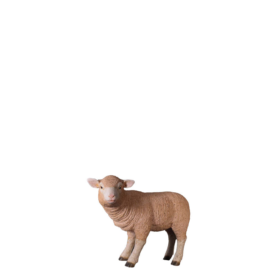 Merino Baby Lamb Statue
