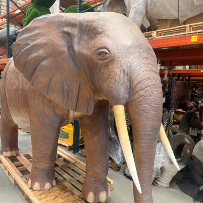 Life Size Standing Elephant Statue A0834-100059-H