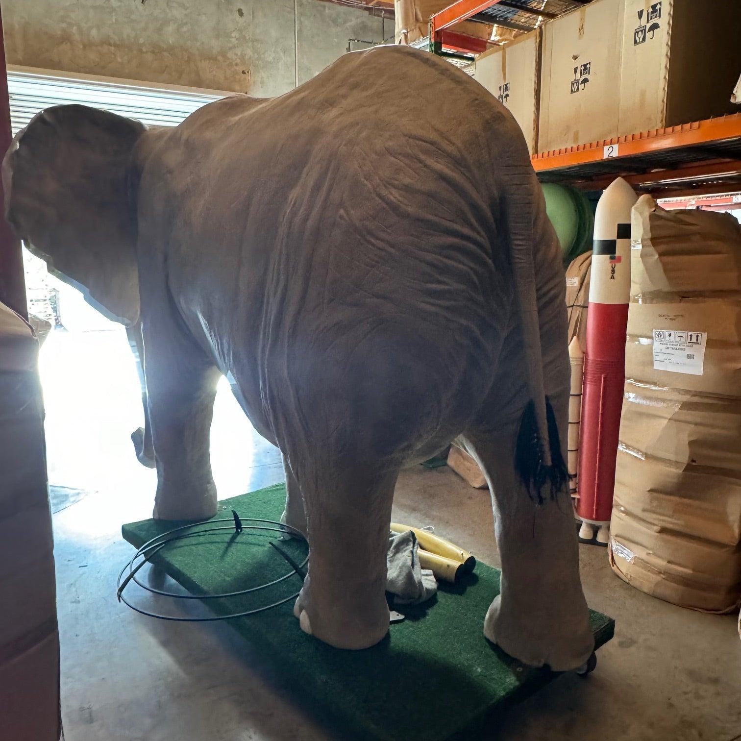 Life Size Standing Elephant Statue - LM Treasures Prop Rentals 