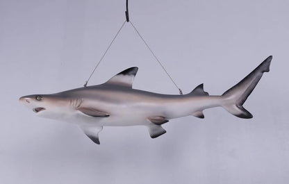 Black Tip Shark Statue