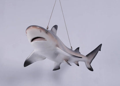 Black Tip Shark Statue