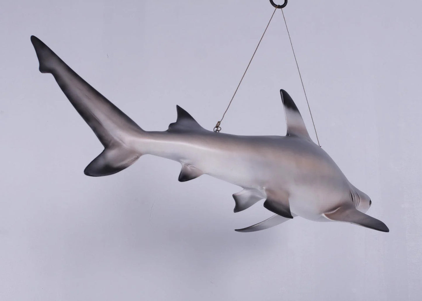 Black Tip Shark Statue