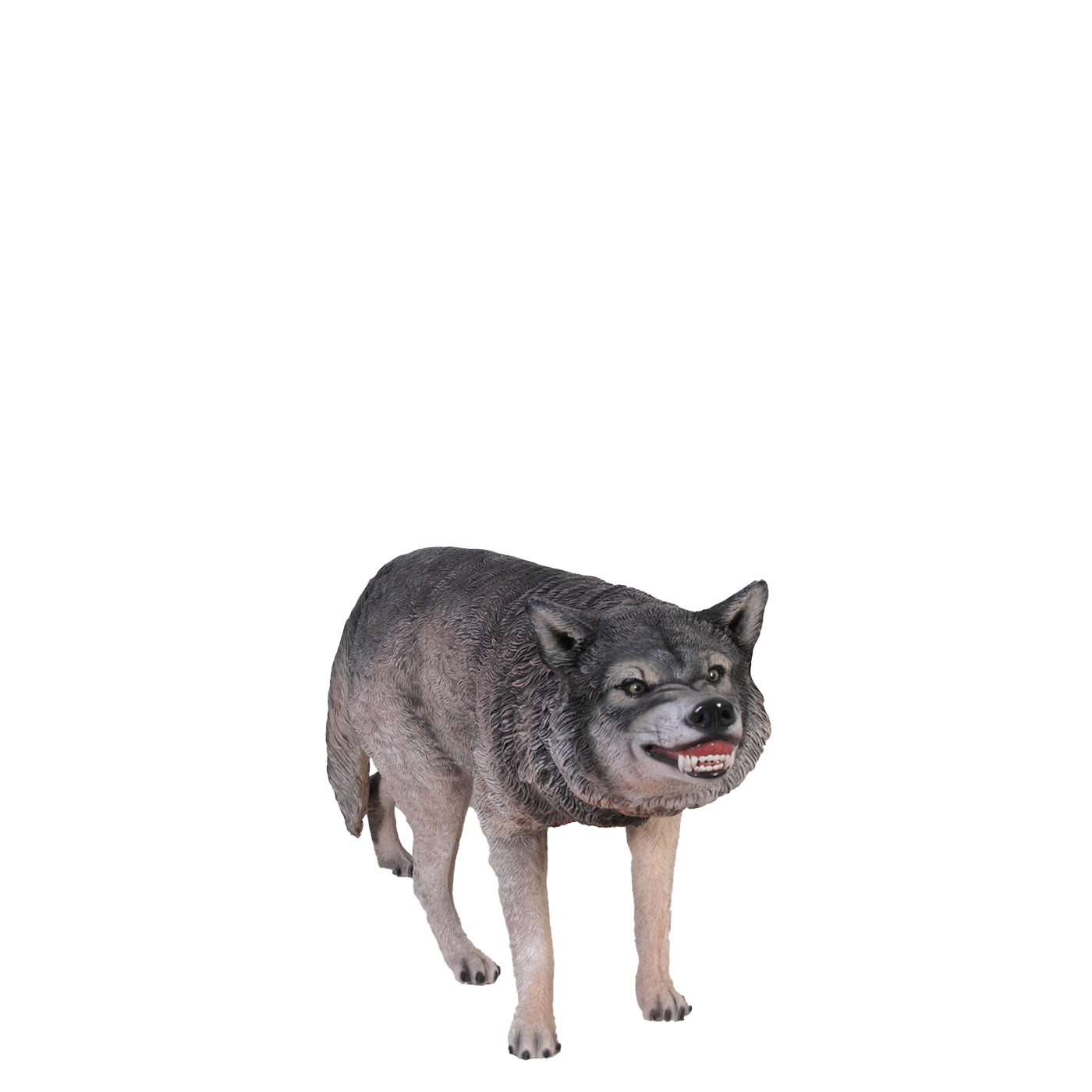 Growling Wolf Life Size Statue