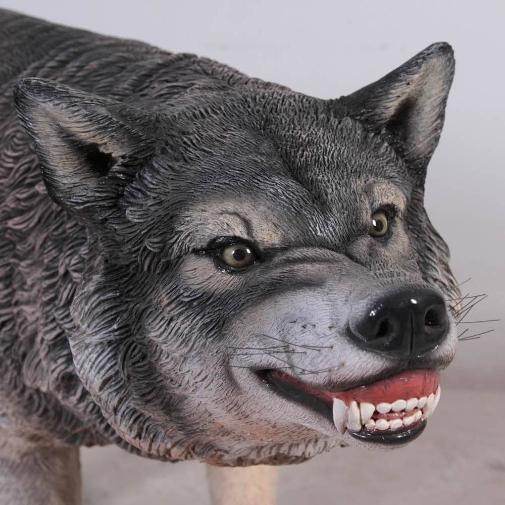 Growling Wolf Life Size Statue