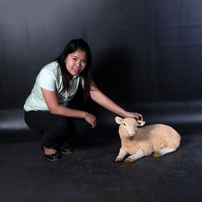 Laying Baby Merino Lamb Statue