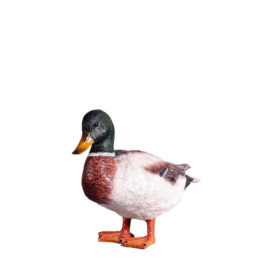 Male Mallard Duck Statue