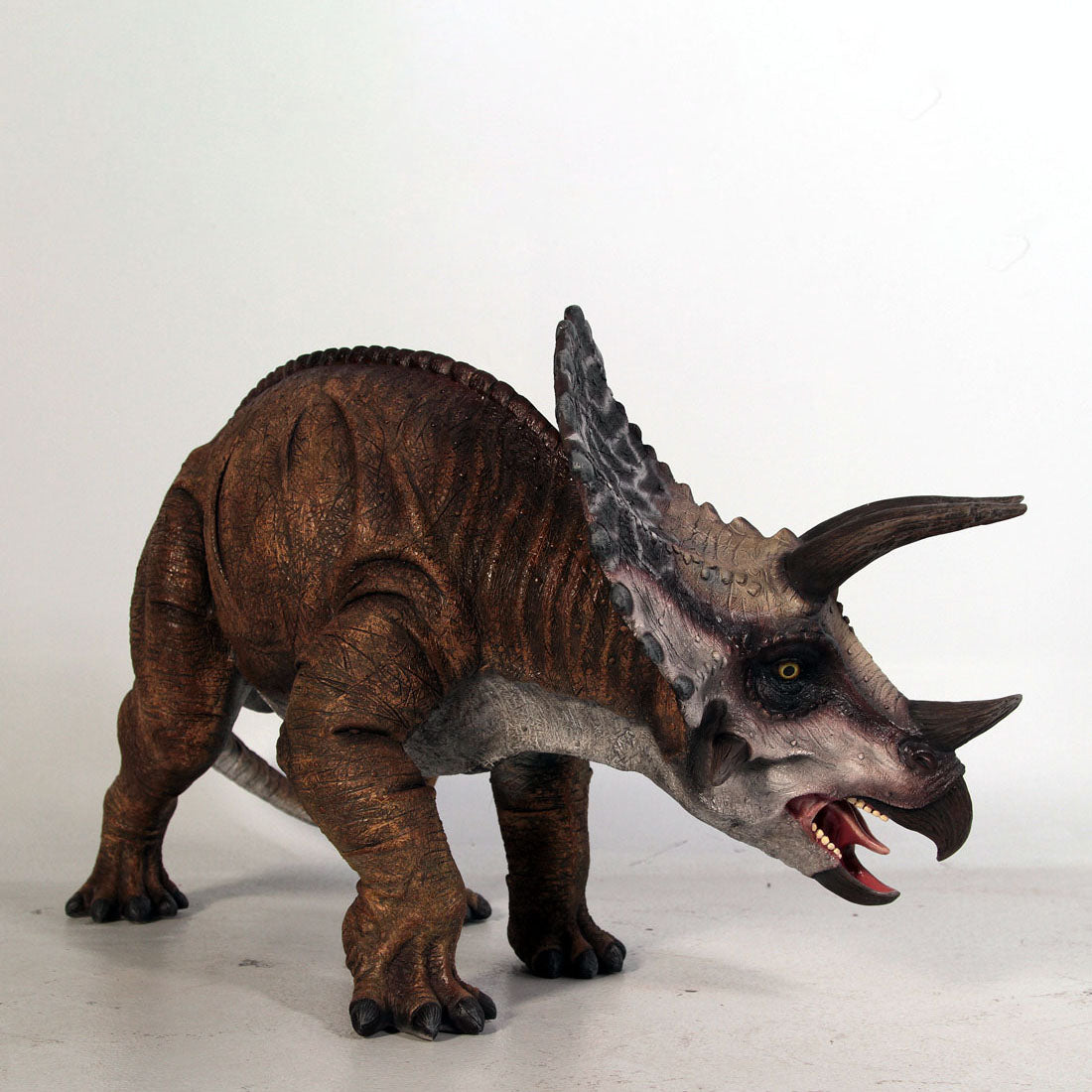 Small Brown Triceratops Dinosaur Statue