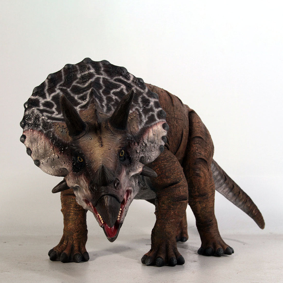 Small Brown Triceratops Dinosaur Statue