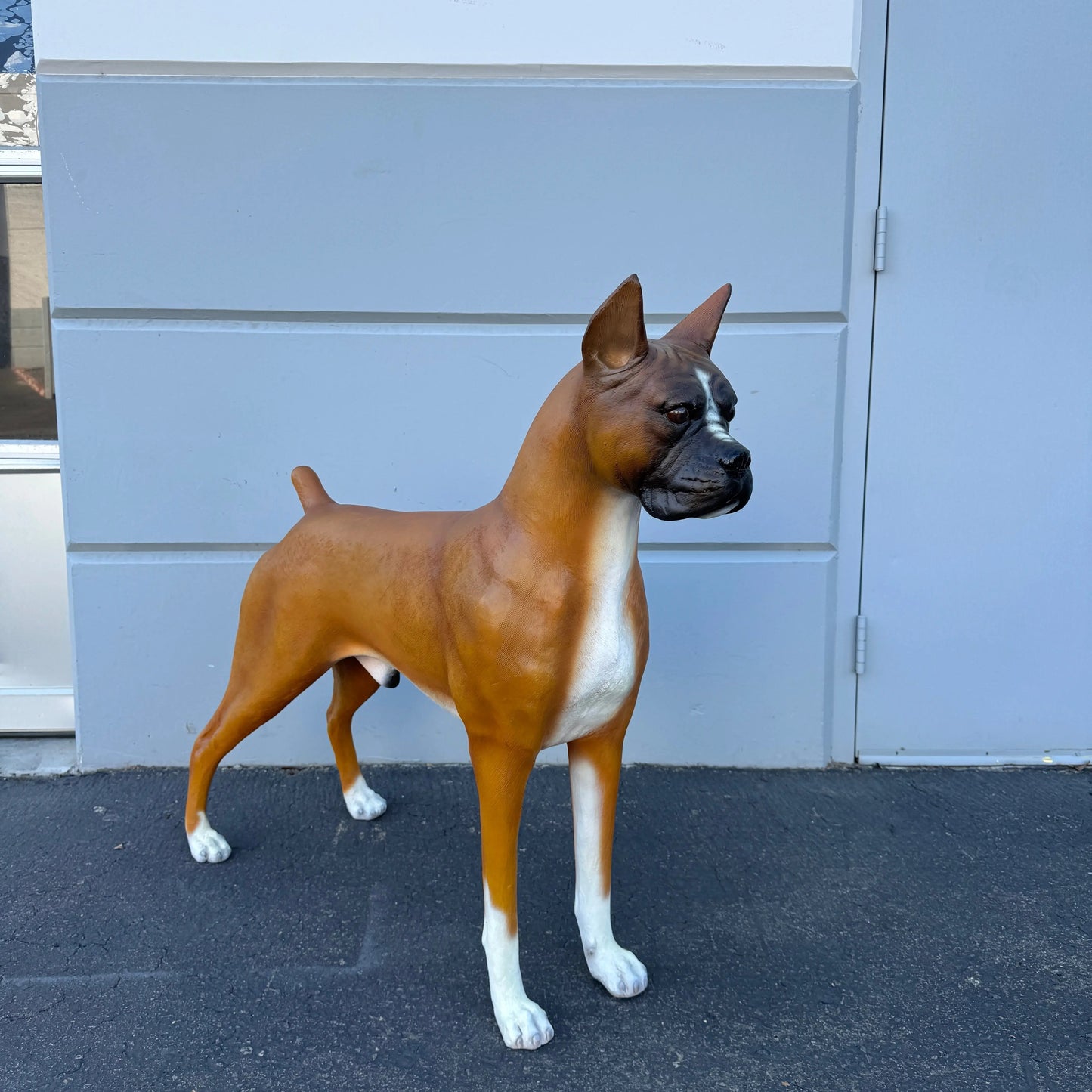 Boxer Dog Statue A0234-110120-H