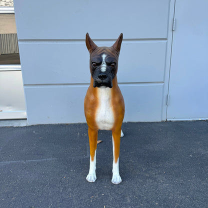 Boxer Dog Statue A0234-110120-H