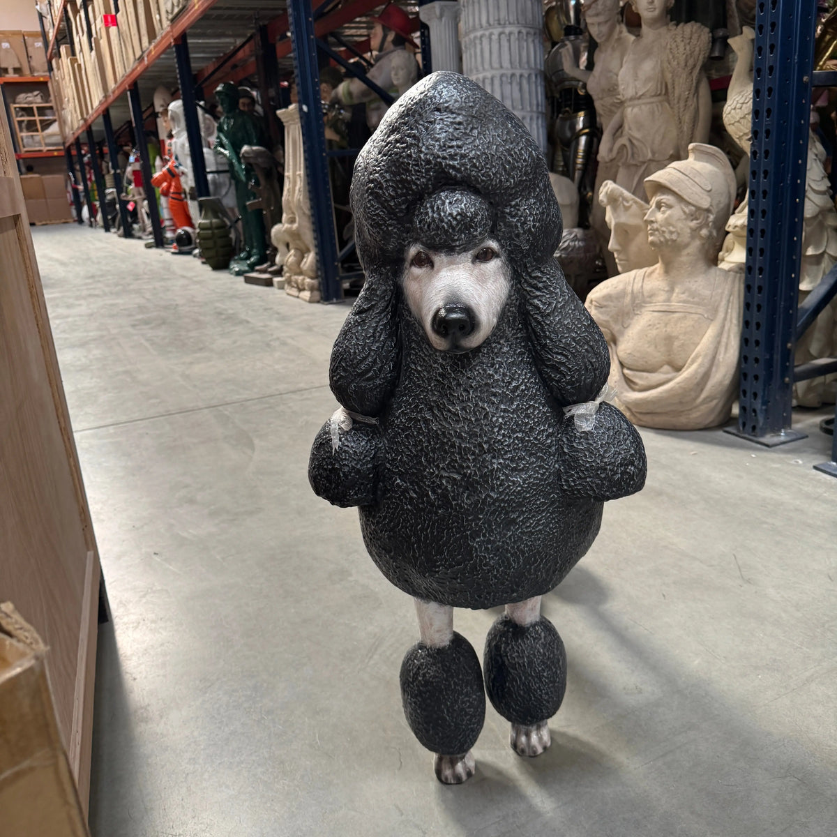 Black French Poodle Life Size Statue A0256BL-110121-H
