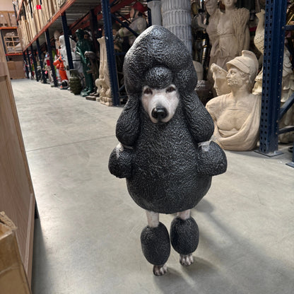 Black French Poodle Life Size Statue A0256BL-110121-H