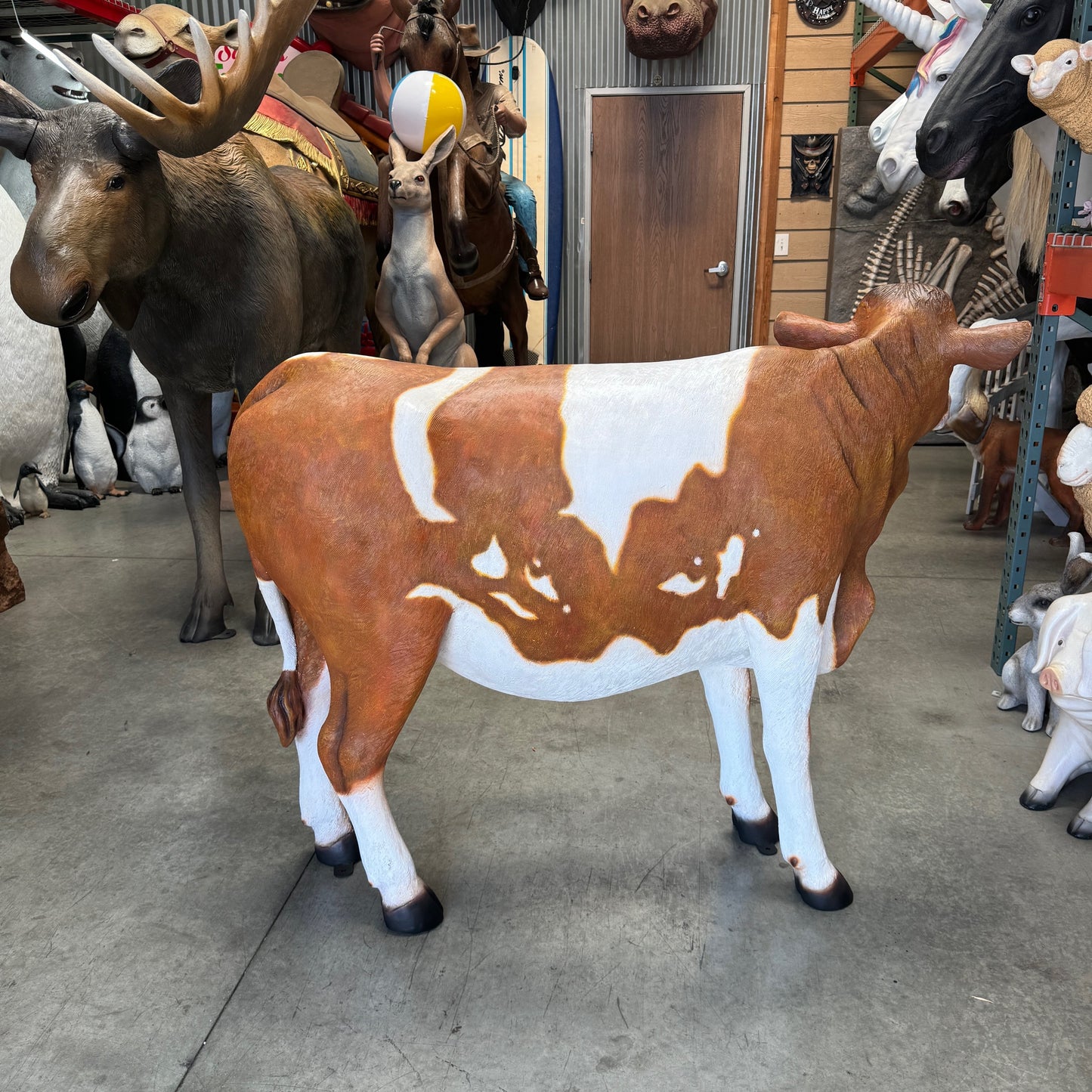 Guernsey Cow Standing Life Size Statue