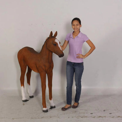 Pony Foal Horse Standing Statue