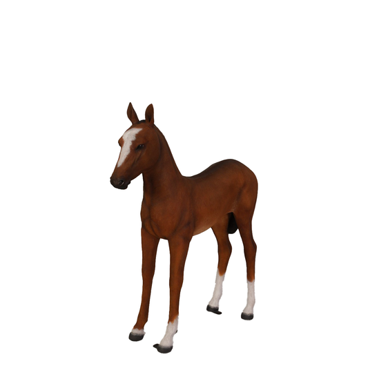 Pony Foal Horse Standing Statue