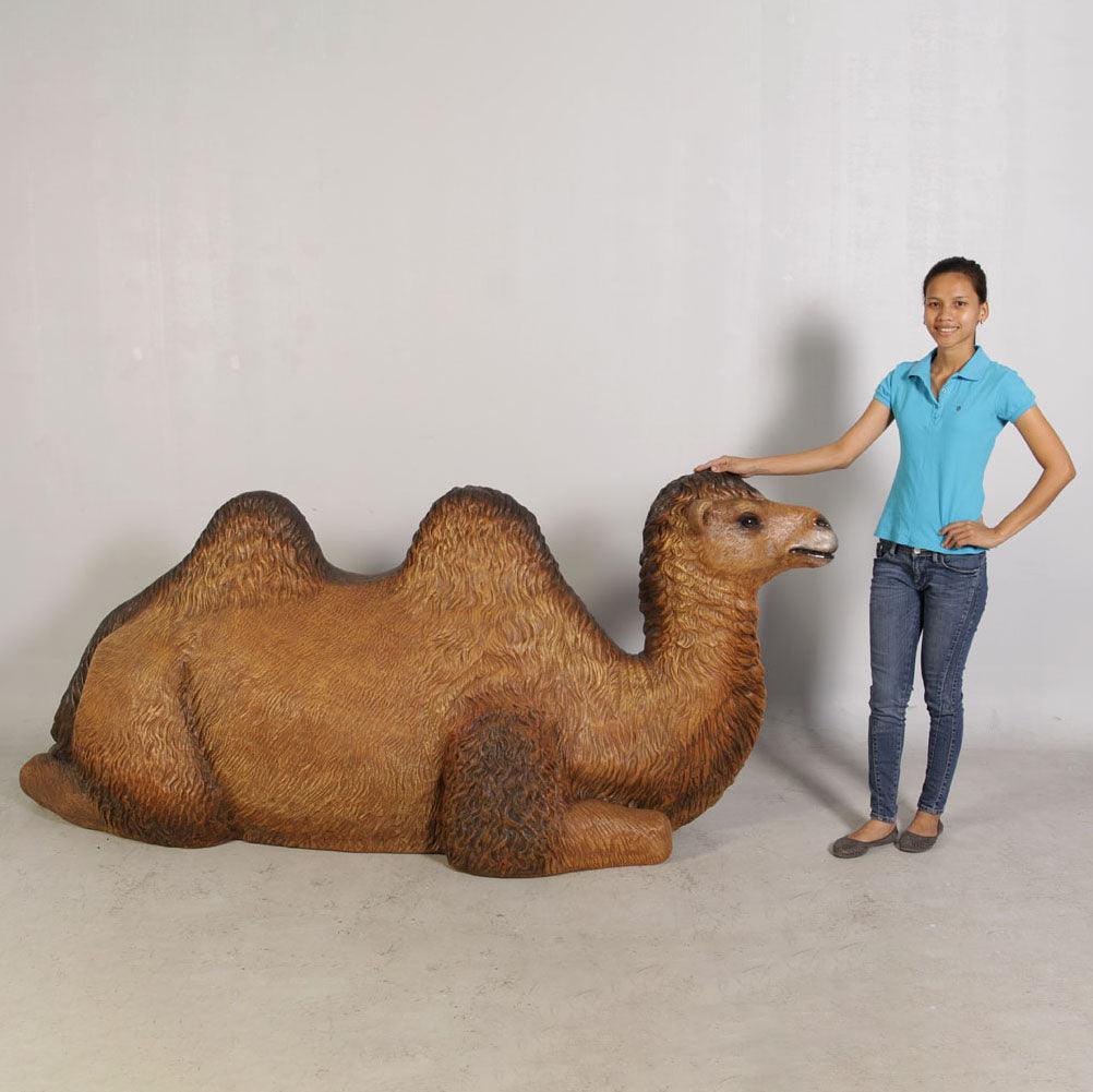 Laying Camel Life Size Statue