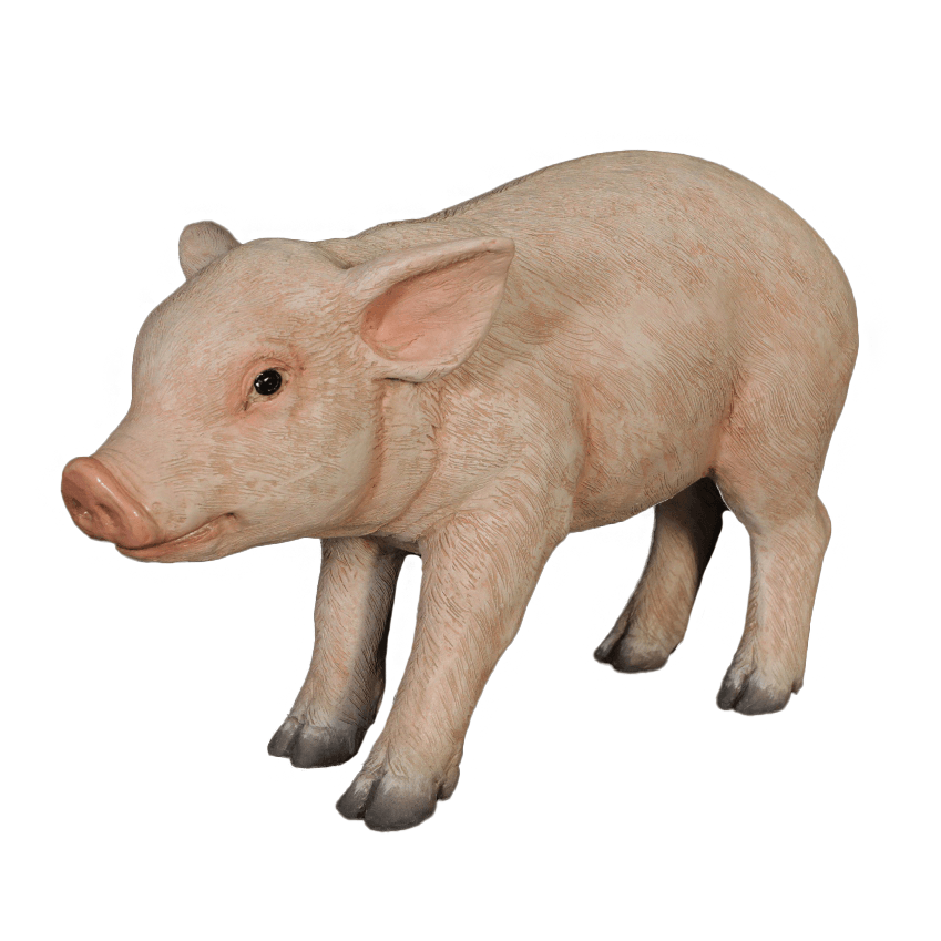 New Born Baby Pig Statue - LM Treasures Prop Rentals 