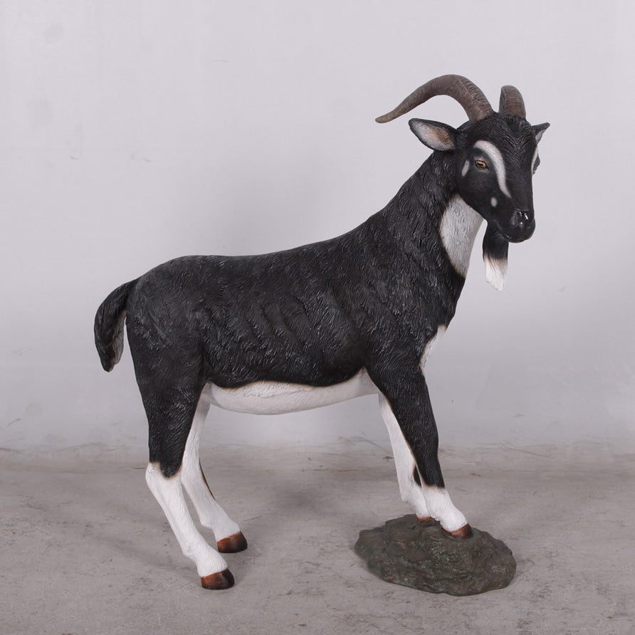 Black Billy Goat Statue