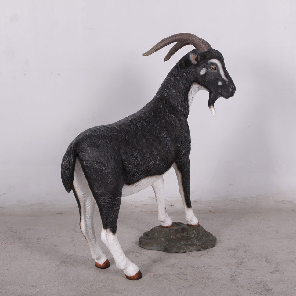 Black Billy Goat Statue